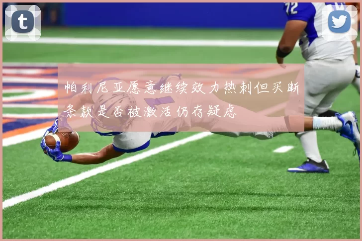 帕利尼亚愿意继续效力热刺但买断条款是否被激活仍存疑虑