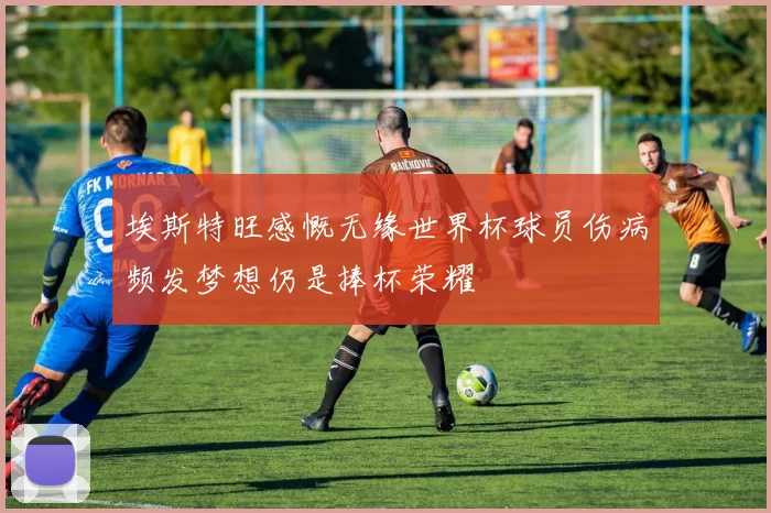 埃斯特旺感慨无缘世界杯球员伤病频发梦想仍是捧杯荣耀