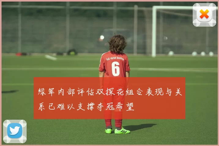 绿军内部评估双探花组合表现与关系已难以支撑夺冠希望